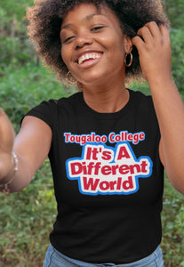It’s A Different World- Tougaloo