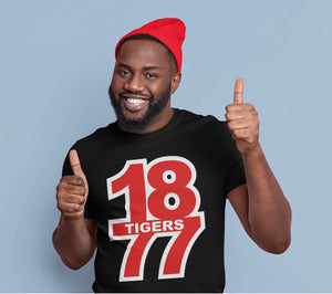 1877 Tigers