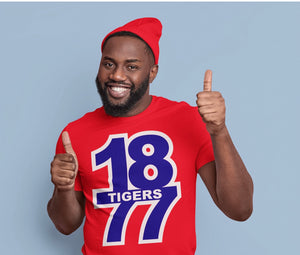1877 Tigers